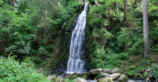 Co neminout při návštěvě Nových Hradů v Jižních Čechách