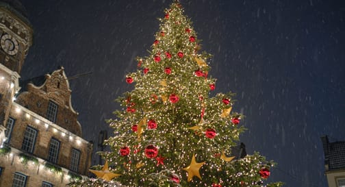 Nepovedená předehra adventu – vánoční strom v Ústí nad Labem nevydržel