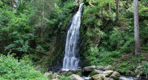 Co neminout při návštěvě Nových Hradů v Jižních Čechách