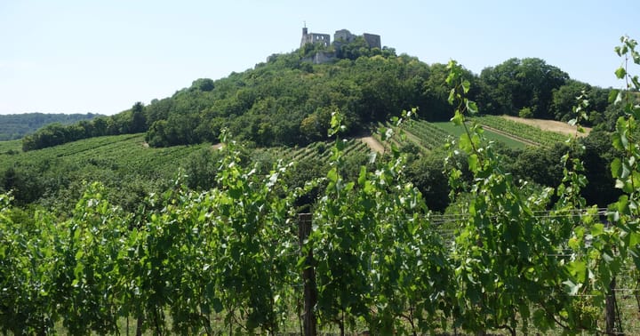 Zřícenina hradu Falkenstein