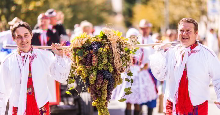 Pálavské vinobraní