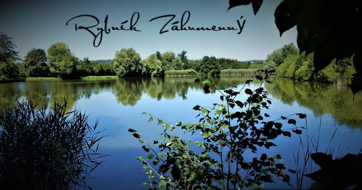 Rybaření na rybníku Záhumenný