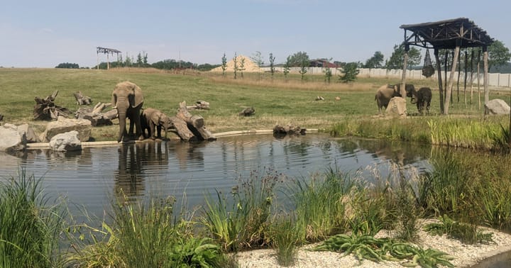 Zoo Zlín - výběh slonů