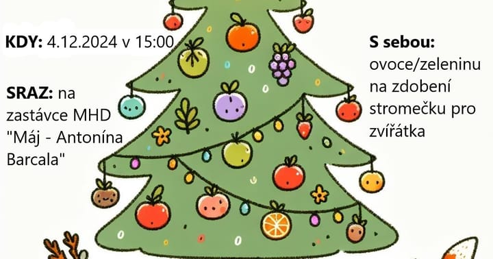 Zdobení vánočního stromečku pro zvířátka