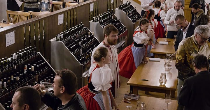 Bojanovská výstava vín