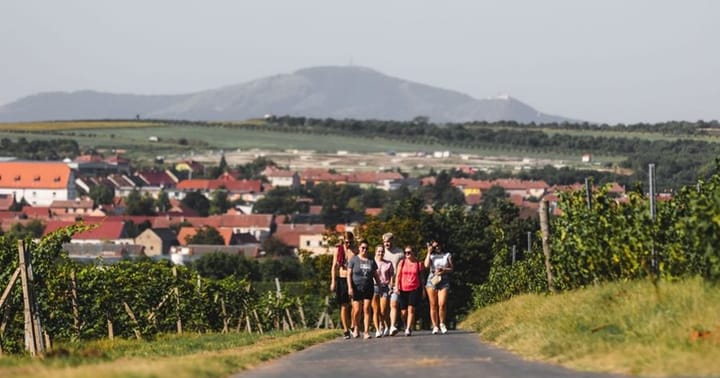Krajem vína – Májové putování okolím Modrých hor