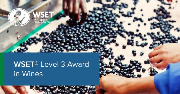 WSET Level 3 Award in Wines