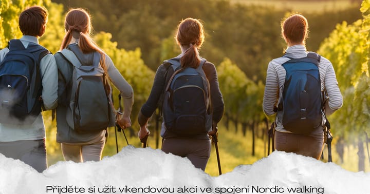 Nordic walking ve vinici