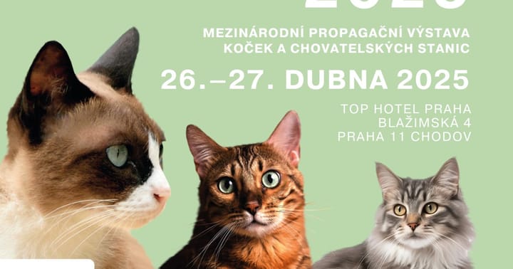 Mezinárodní propagační výstava Kočky Praha 2025