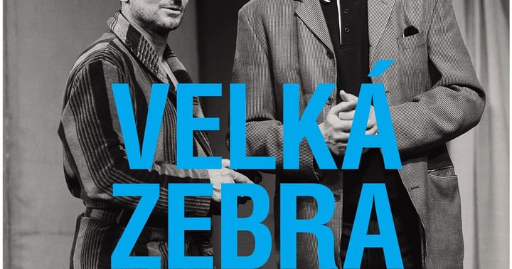 Velká zebra v Litvínově