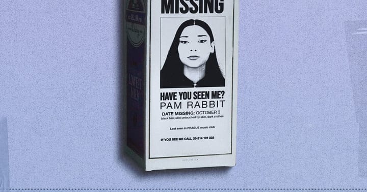 PAM RABBIT: The Missing Tour