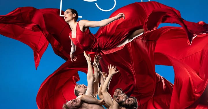 Losers Cirque Company: The Losers