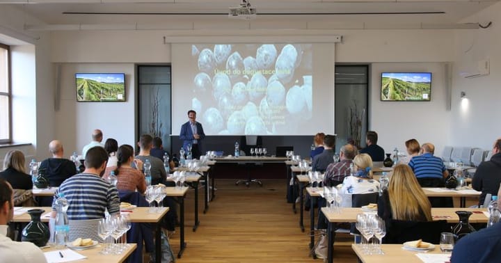 Degustace vína – věda i umění