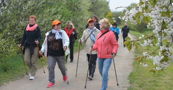 Den Znovín Walkingu
