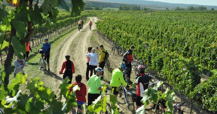 Tour de burčák po vinařských stezkách Znojemska