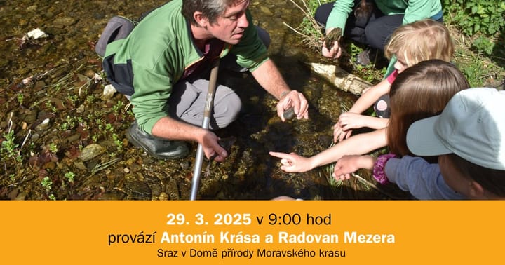 Život v mokřadech kolem Punkvy