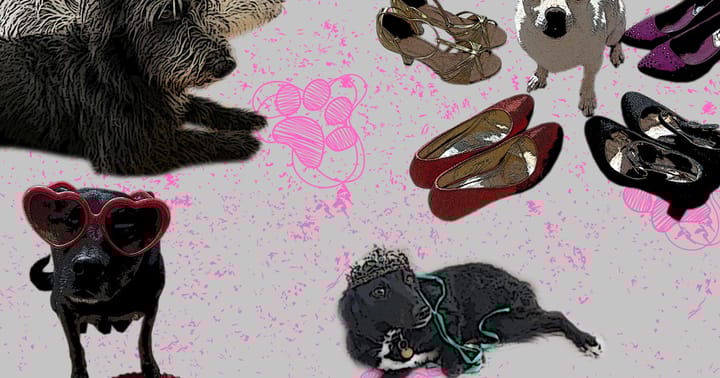 FLUFFY PAWS SHOW