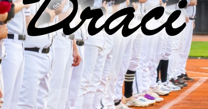 Draci Brno Baseball - sezónní permanentka 2025