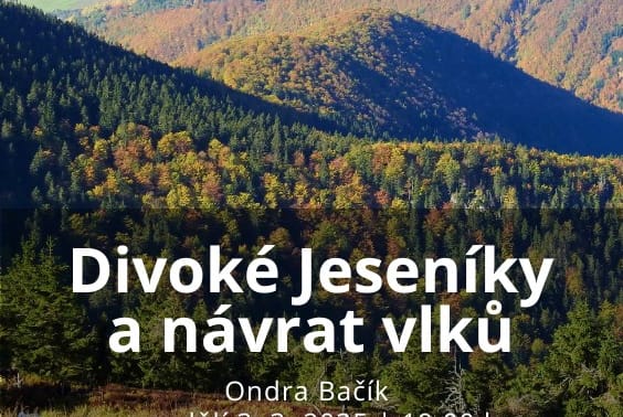 Divoké Jeseníky a návrat vlků