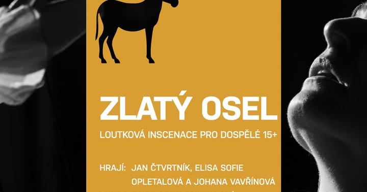 Zlatý osel 2. premiéra