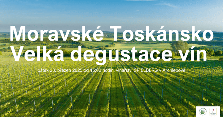 Velká degustace vín z Moravského Toskánka ve vinařství SPIELBERG