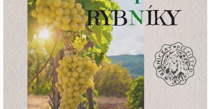 Ochutnávky vín Rybníky