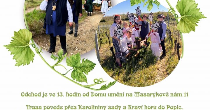 Vynášení Hroznového kozla do vinohradu