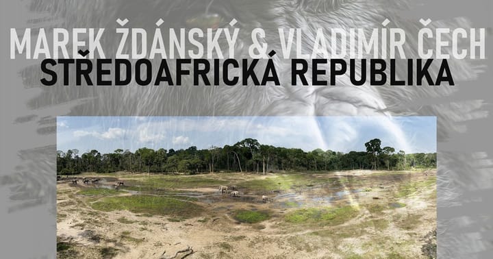 S Markem za gorilami
