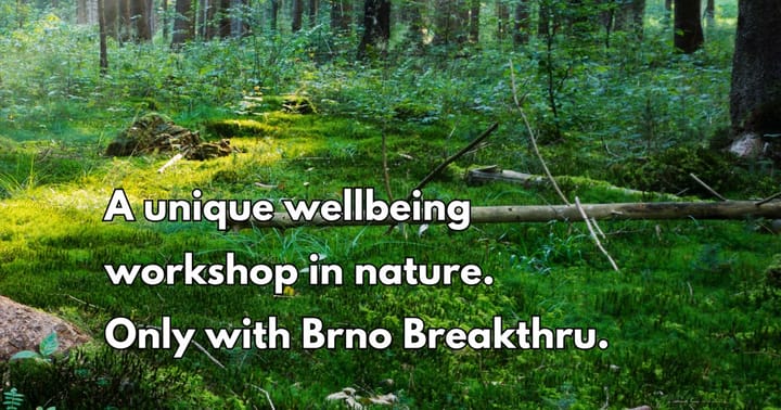 From Crisis to Calm: A Wellbeing Workshop in Nature