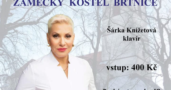 Plakát