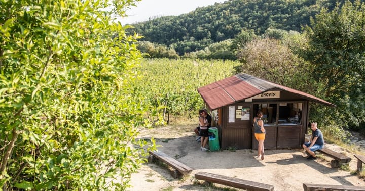 Zahájení Vinařského turistického programu Znovínu Znojmo