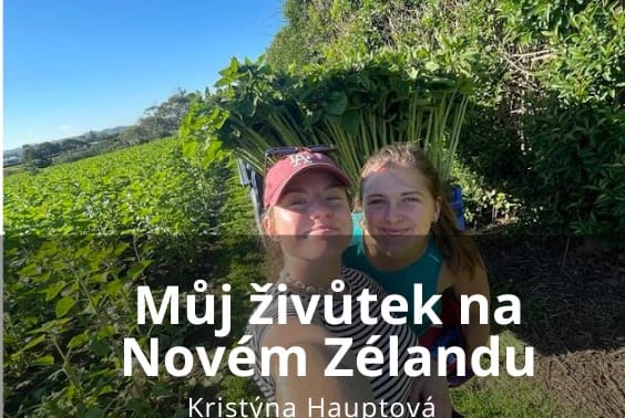 Můj živůtek na Novém Zélandě