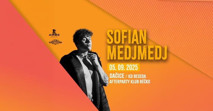 SOFIAN MEDJMEDJ