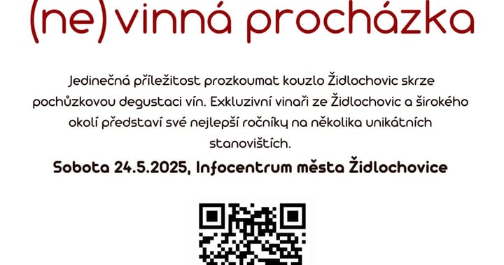 (ne)vinná procházka v Židlochovicích