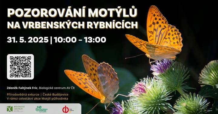 Pozorování motýlů letak šířka