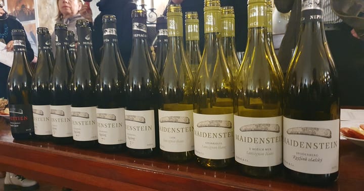 Řízená degustace vín – Vinařství Nepraš & Co.