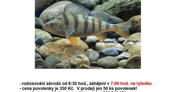 Rybářské závody ve Chvalovicích