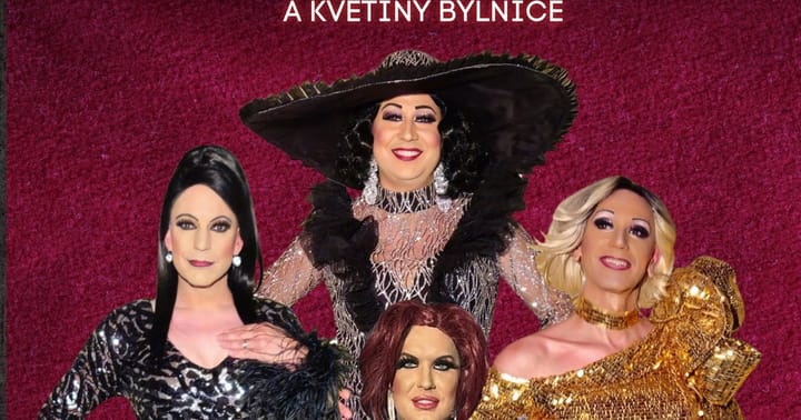 Travesti show Divoké kočky v Brumově - Bylnici