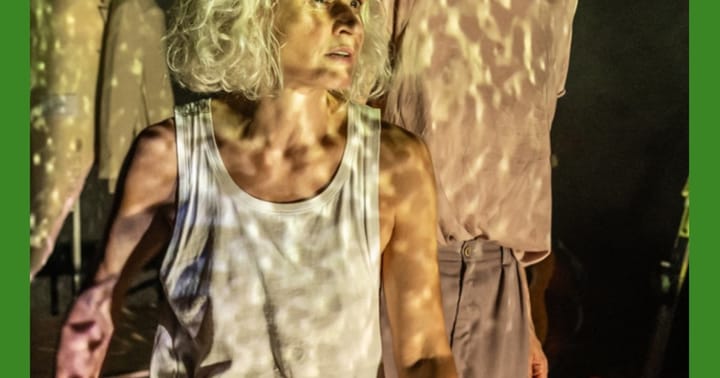 Endemité: Příběhy mizení – A studio Rubín