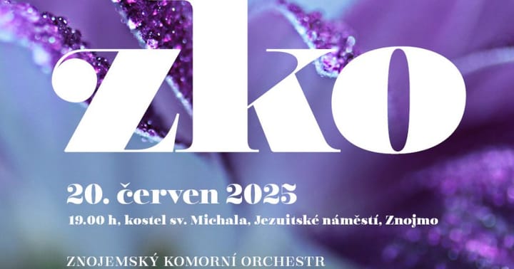 Koncert k Evropskému dni hudby