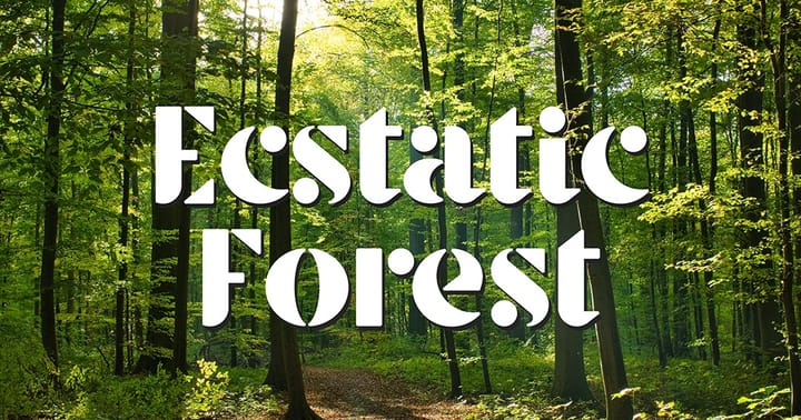 Ecstatic Forest | Jobbi Tao