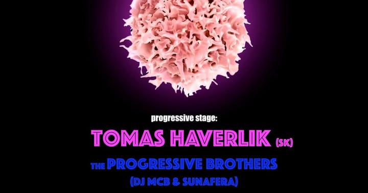 Expectation w/Tomas Haverlik