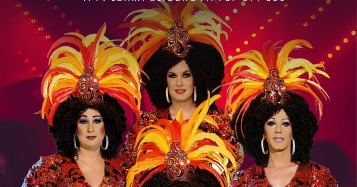 Travesti show Divoké kočky v Novém Jičíně