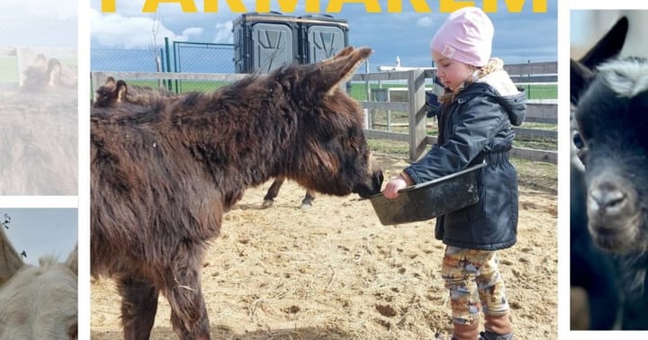 Staň se farmářem na Merlinově farmě!