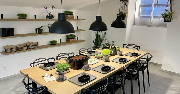Workshop pěstování mikrobylinek - od výběru správných semínek až po sklizeň