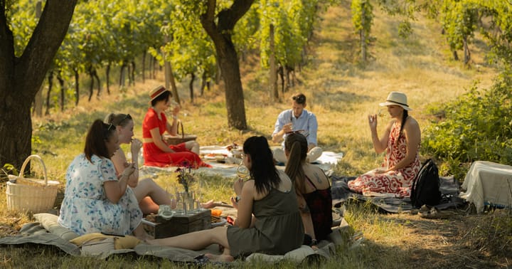 Letní piknik ve vinici