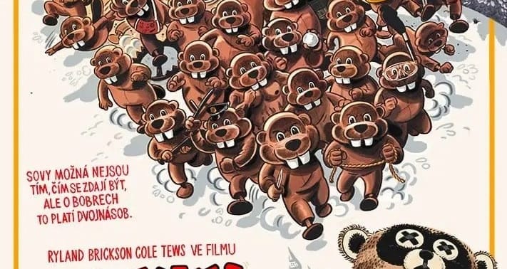 Stovky bobrů / Hundreds of Beavers