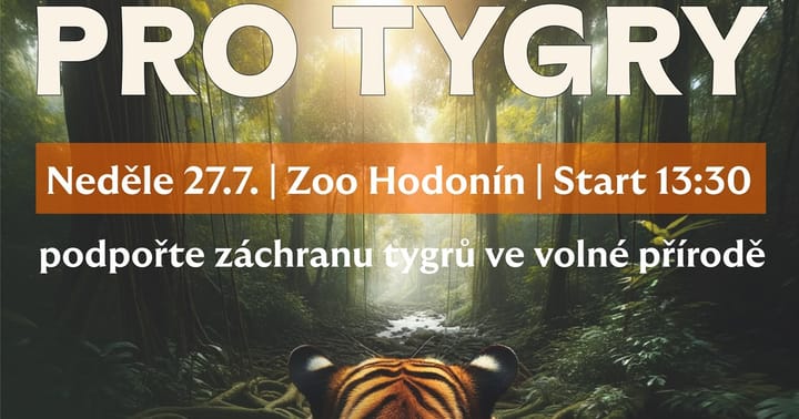Běh pro tygry