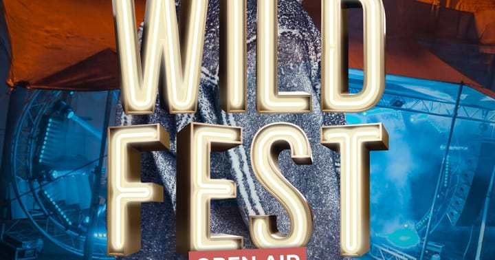 WILD FEST - Majk Spirit
