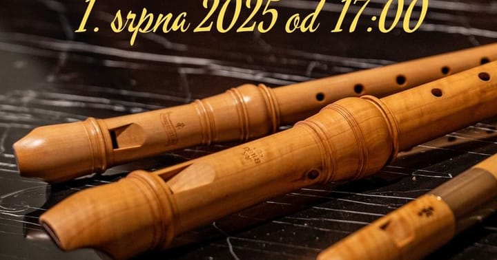 Plakát na koncert 1 8